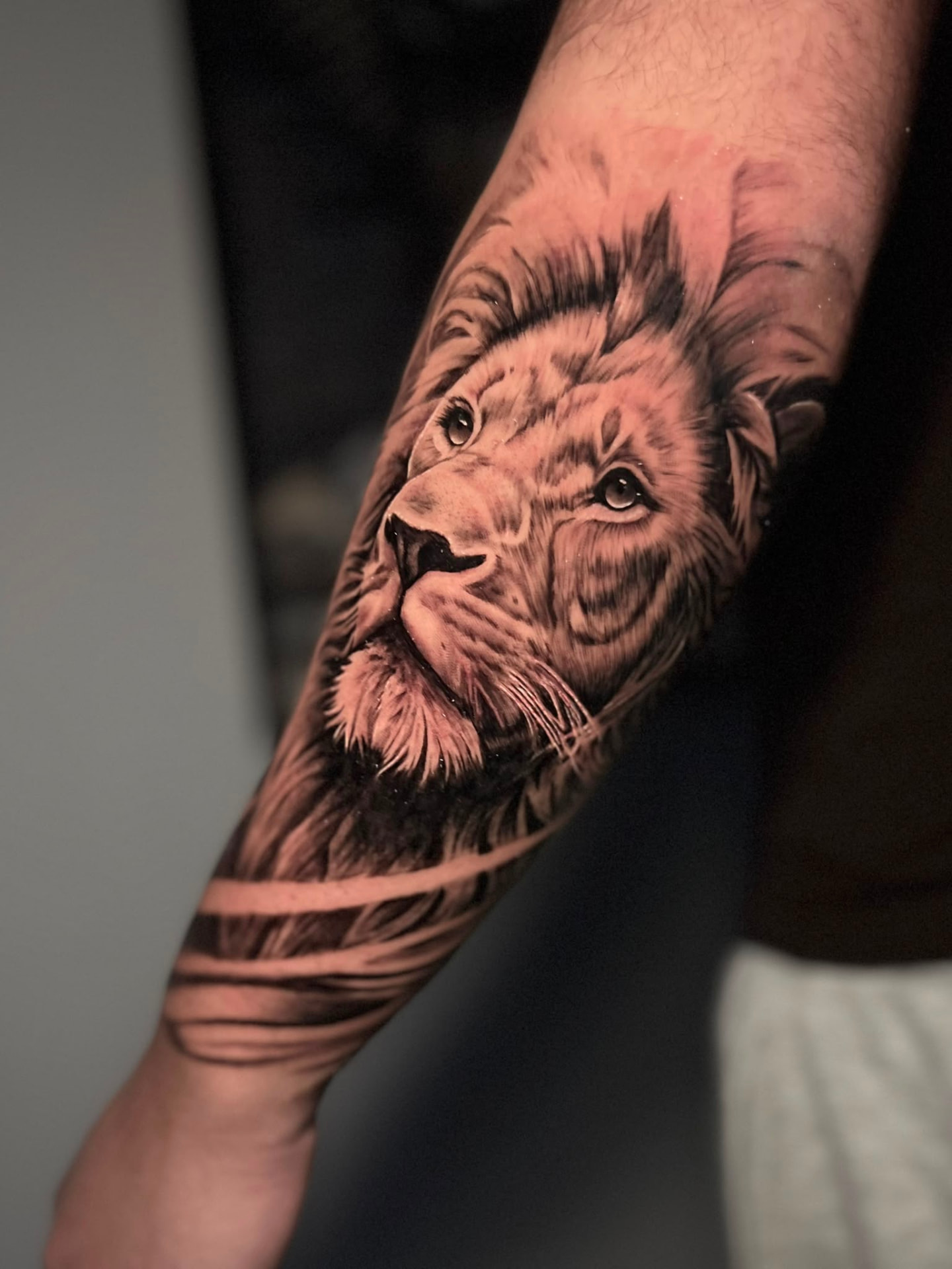 Realistischer Löwenkopf mit Mähne als Unterarm-Tattoo in Black & Grey von Tristan